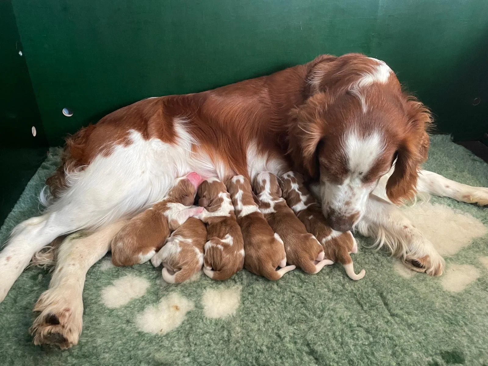 WhatsApp Image 2026-04-27 at 11.31.08.jpeg