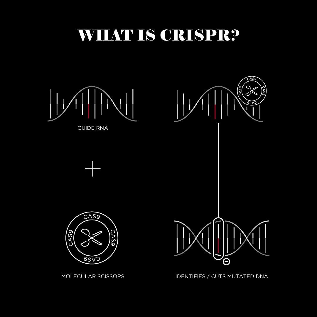 Spreads, vector and icon design for &lsquo;Tessera&rsquo;. Working in the studio of Ice House Design. #icondesign #layoutdesign #vectorgraphics #prospectusdesign #somersetdesign #somersetschools