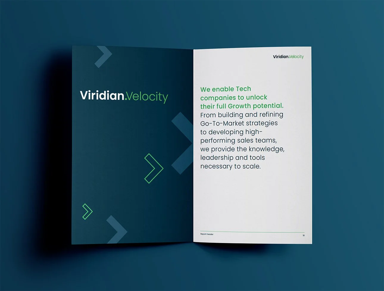 Viridian brochure page spread