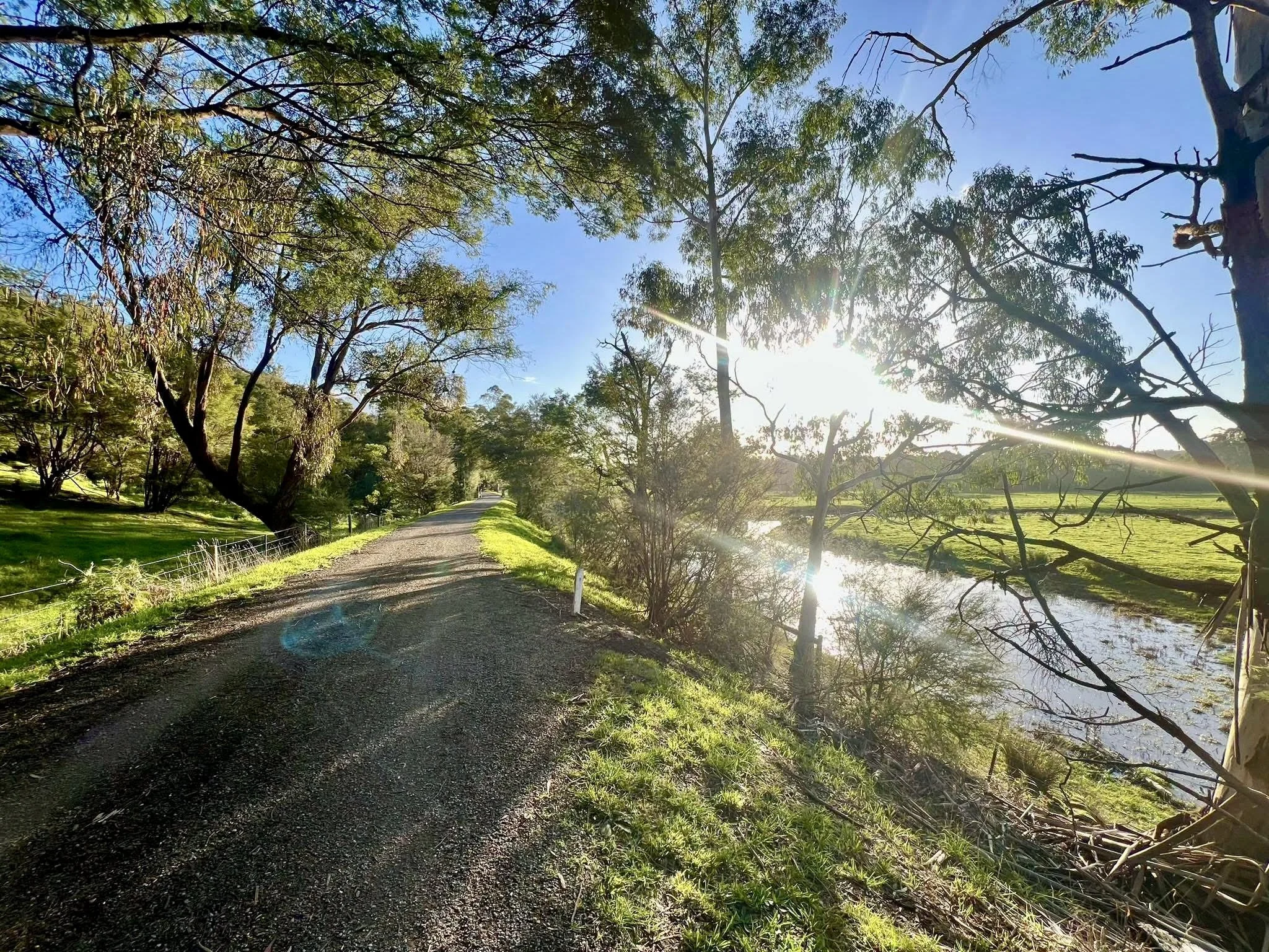 The Lilydale Warburton Rail Trail (a 48km ride) is only 3km from the park - an 11 minute ride on sealed roads.