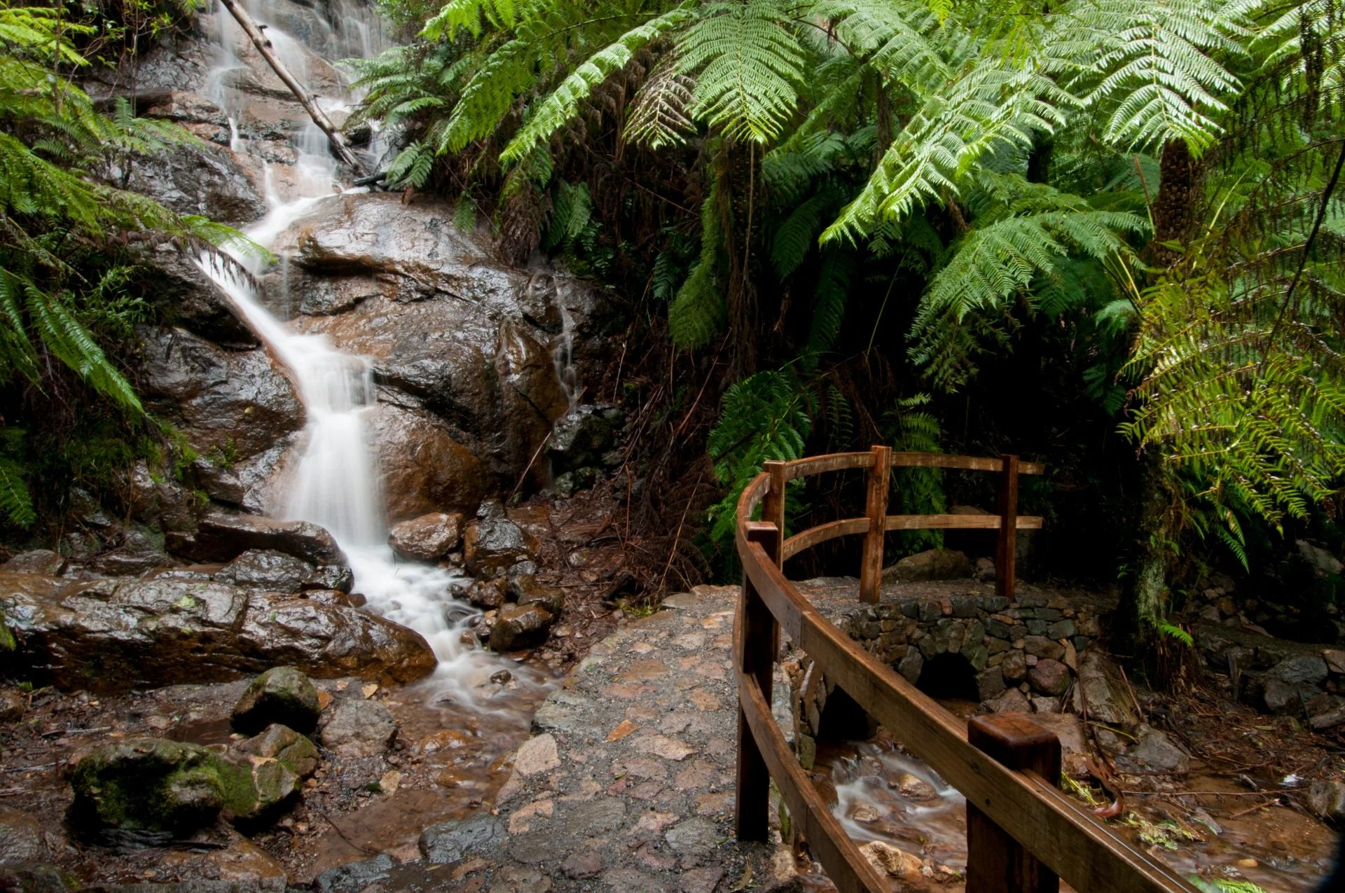 LaLa Falls is only minutes out of Warburton town centre and whilst the waterfall is small the walk in is stunning.