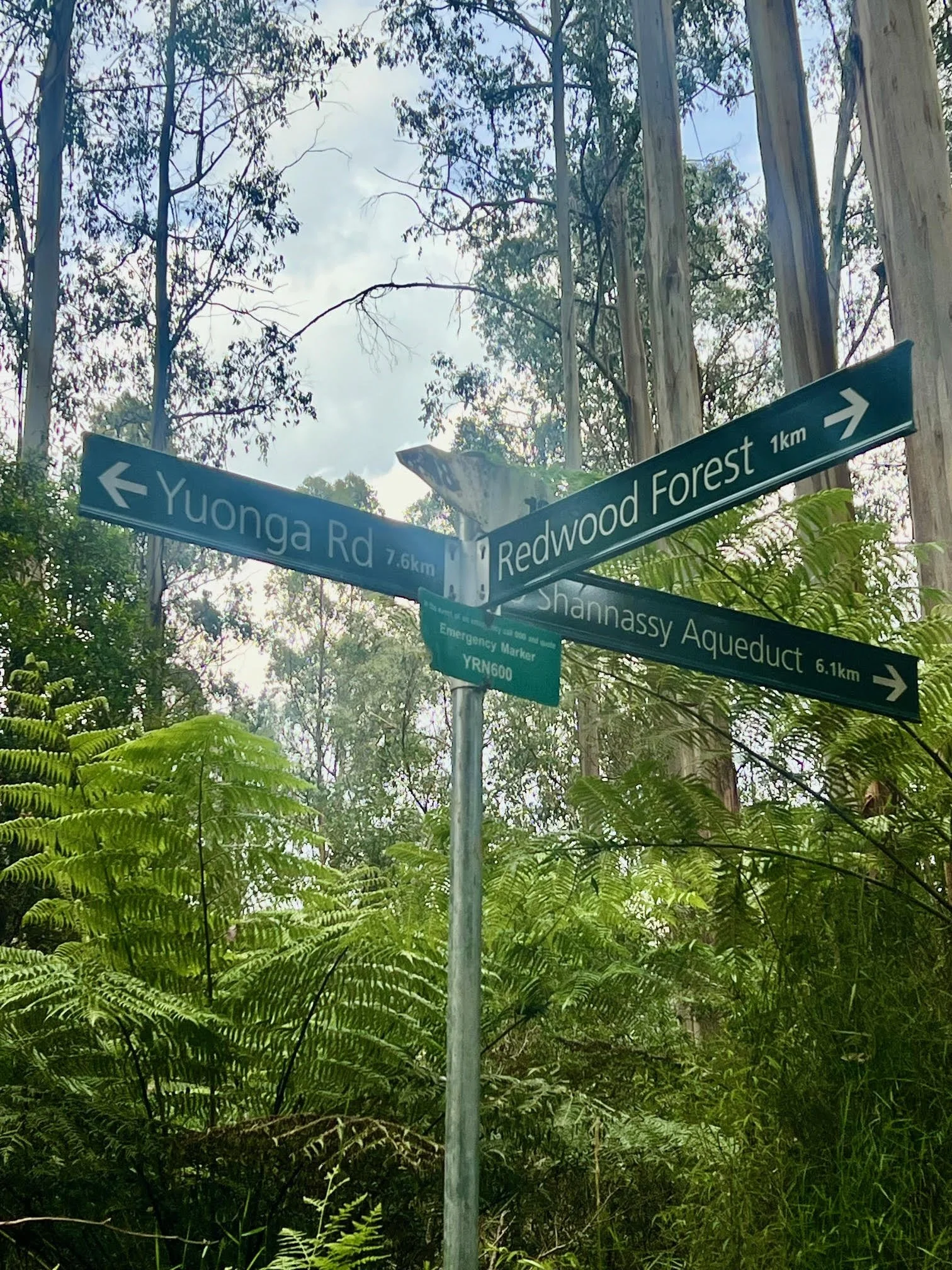 This sign on the O’Shannassy Aqueduct gives you a sense of the distance between landmarks. Riding your bike to the Redwoods is a great way to avoid the traffic.