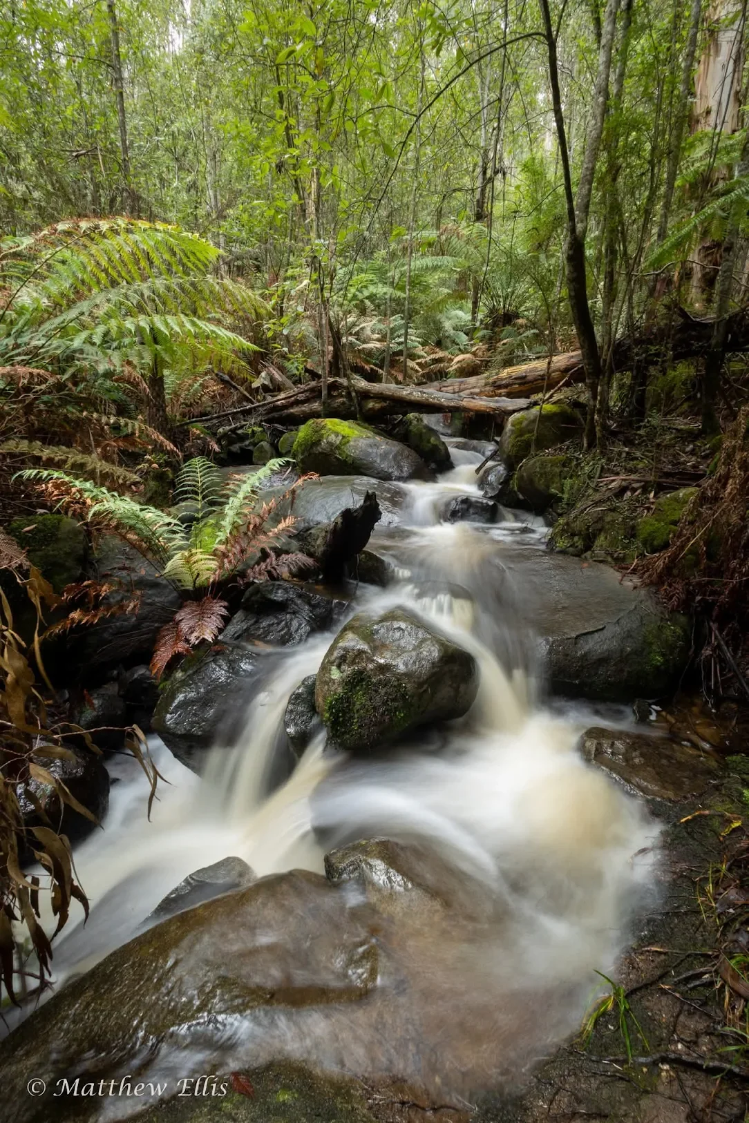 Britannia Creek Falls (and geological caves reserve) is only a 6 minute drive away.