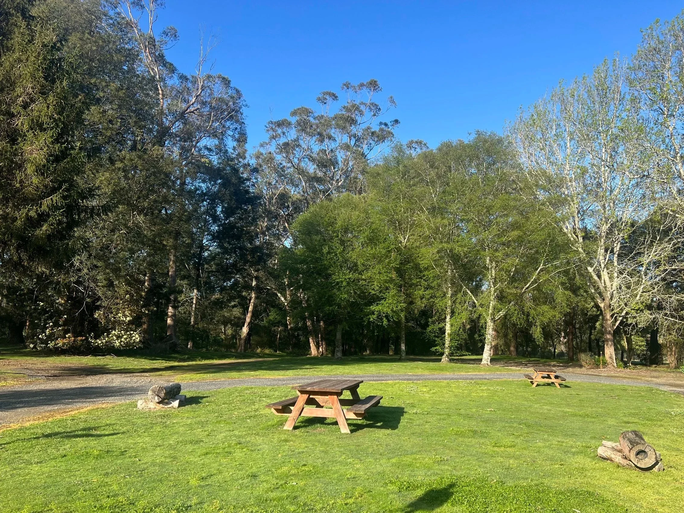 Communal spaces to sit or kick a ball (away from vans and campers).