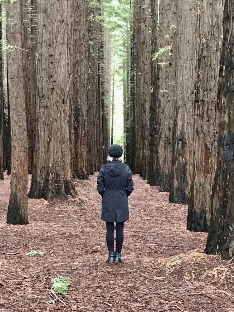 The famous Warburton California Redwood Forest is only 18km from the park.