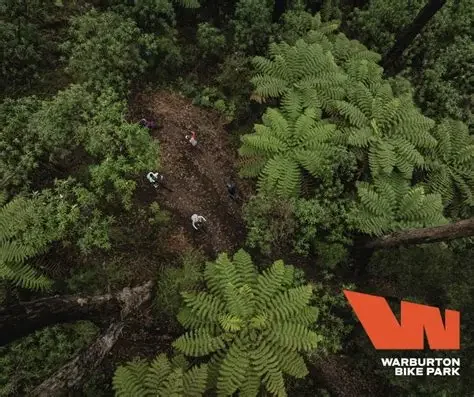 Closest accommodation to the Warburton Mountain Bike Park