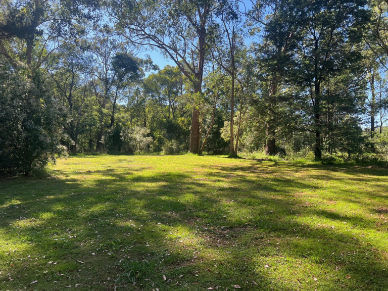 Beautiful off grid bush and grass sites - all at least 12m x 10m.