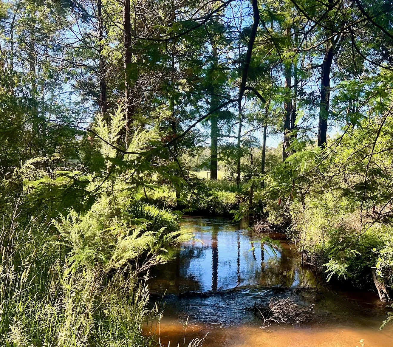 A gorgeous and very peaceful small river as our boundary (Little Yarra River). Perfect for picnics or cooling off in summer.