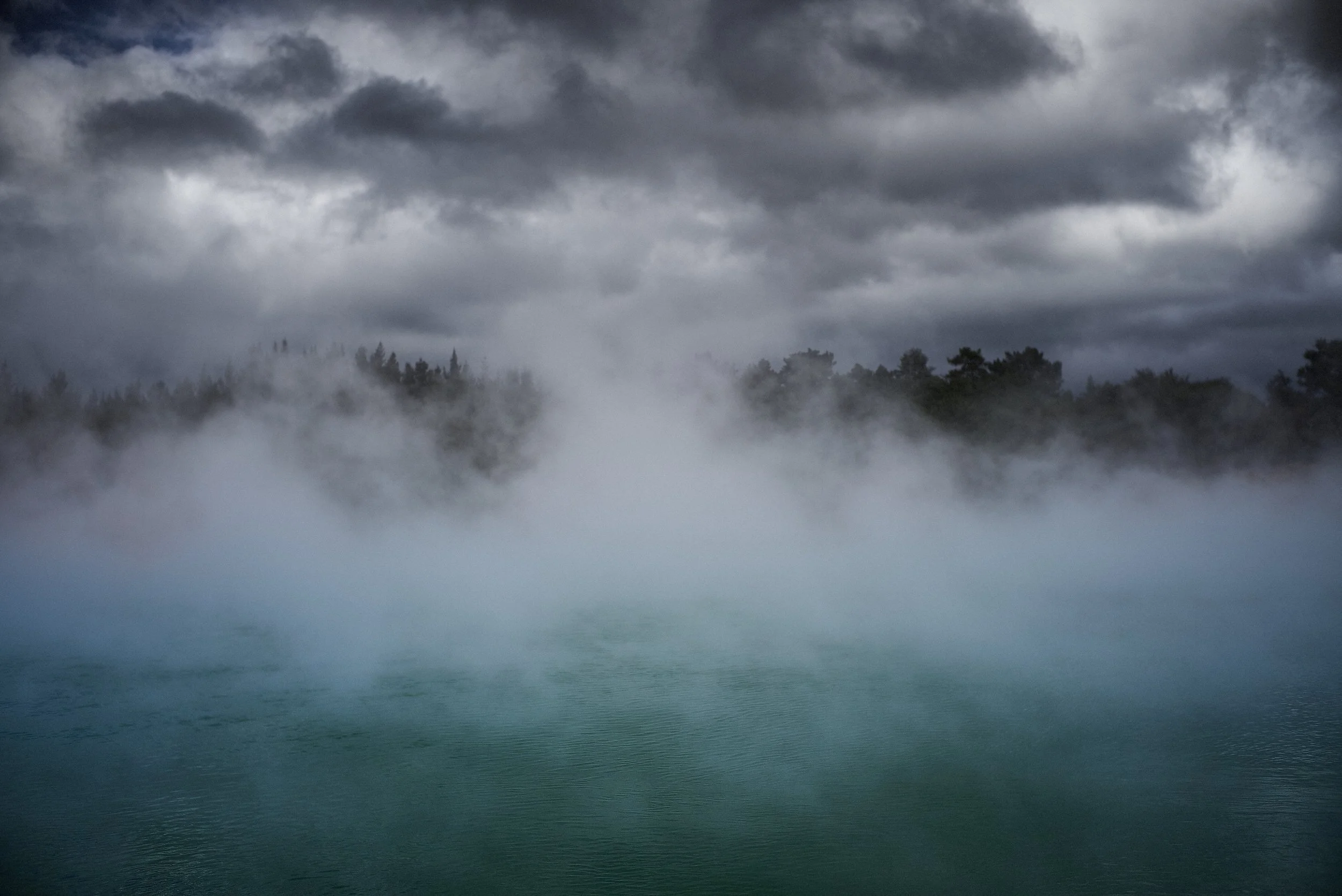 sylvestre def 32.jpg