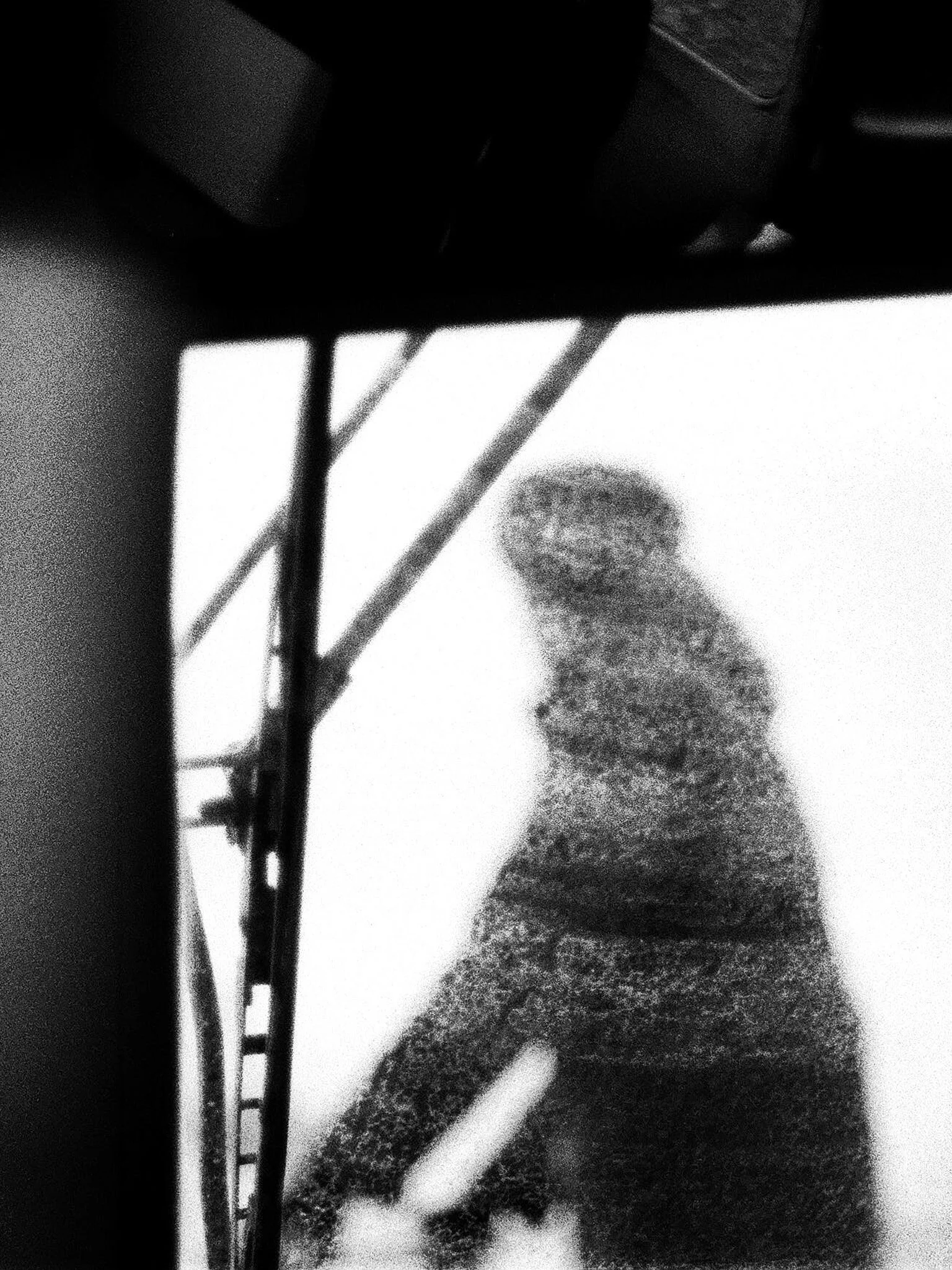 sylvestre def 23.jpg