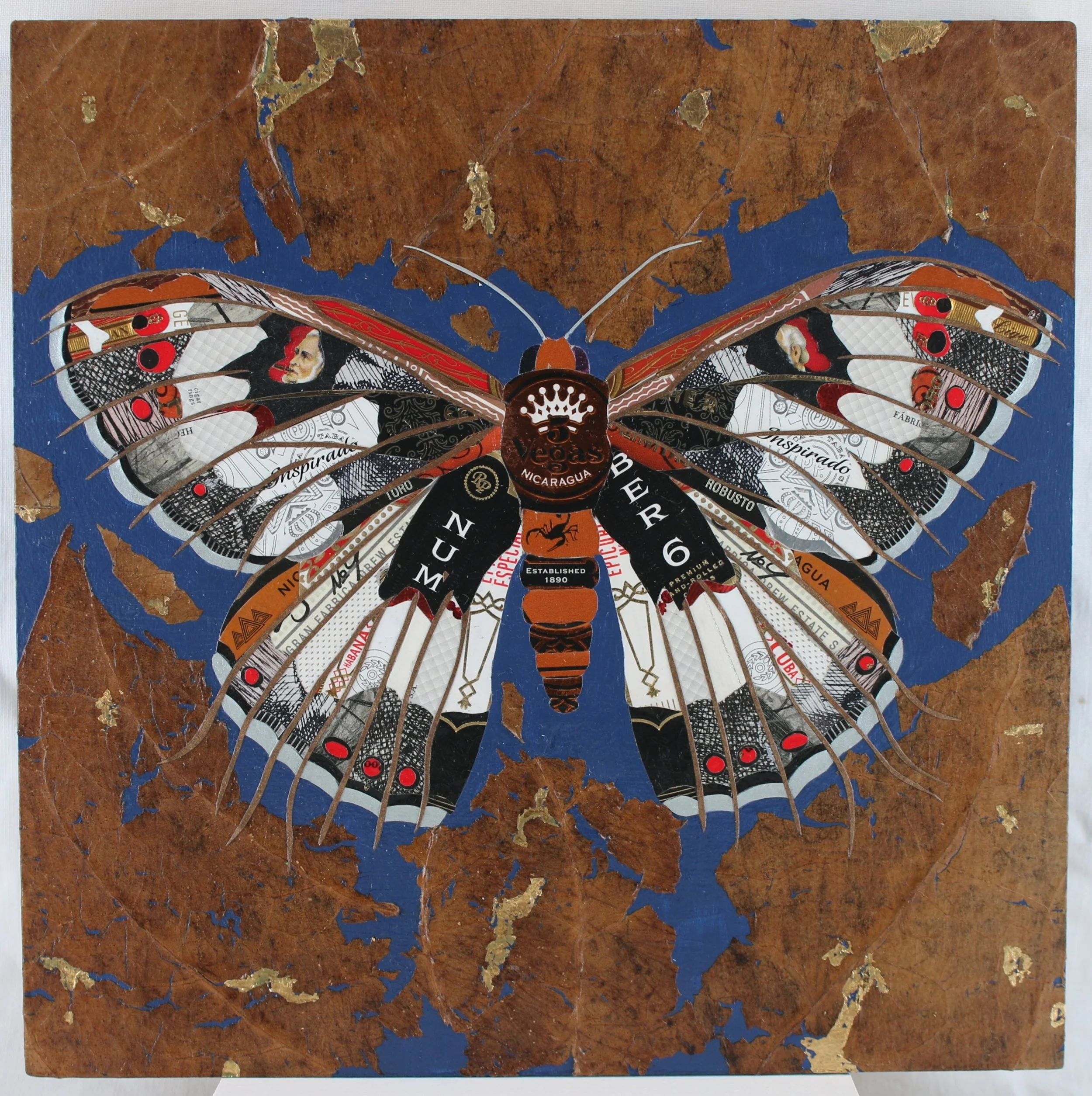 Tobacco  Moth.