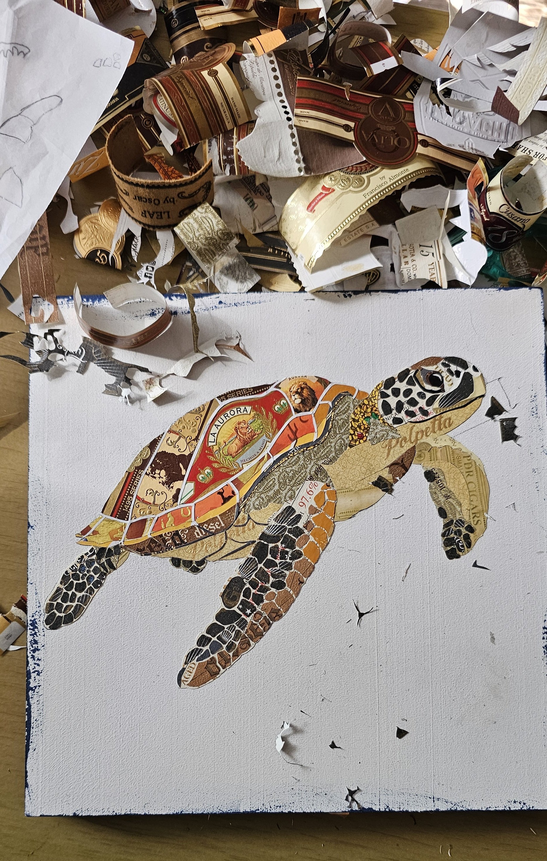 TURTLE 07.jpg