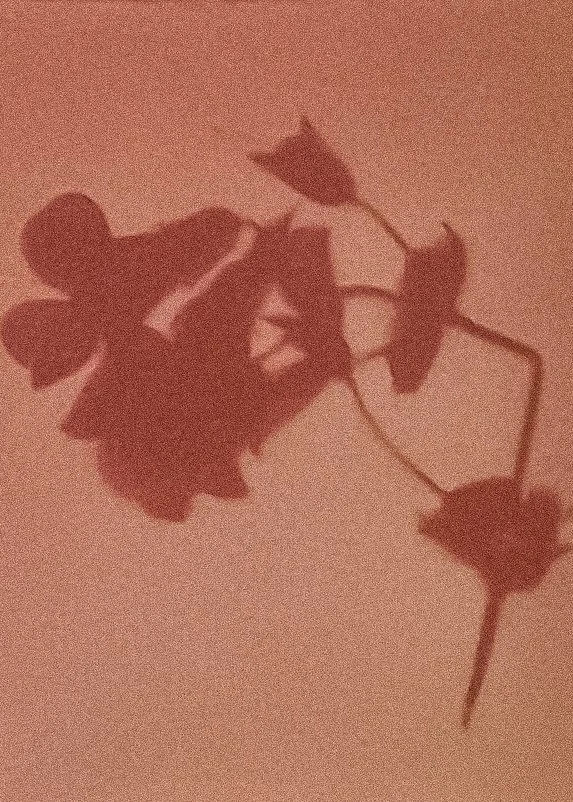 Exhibition Concept WTR -7.jpg