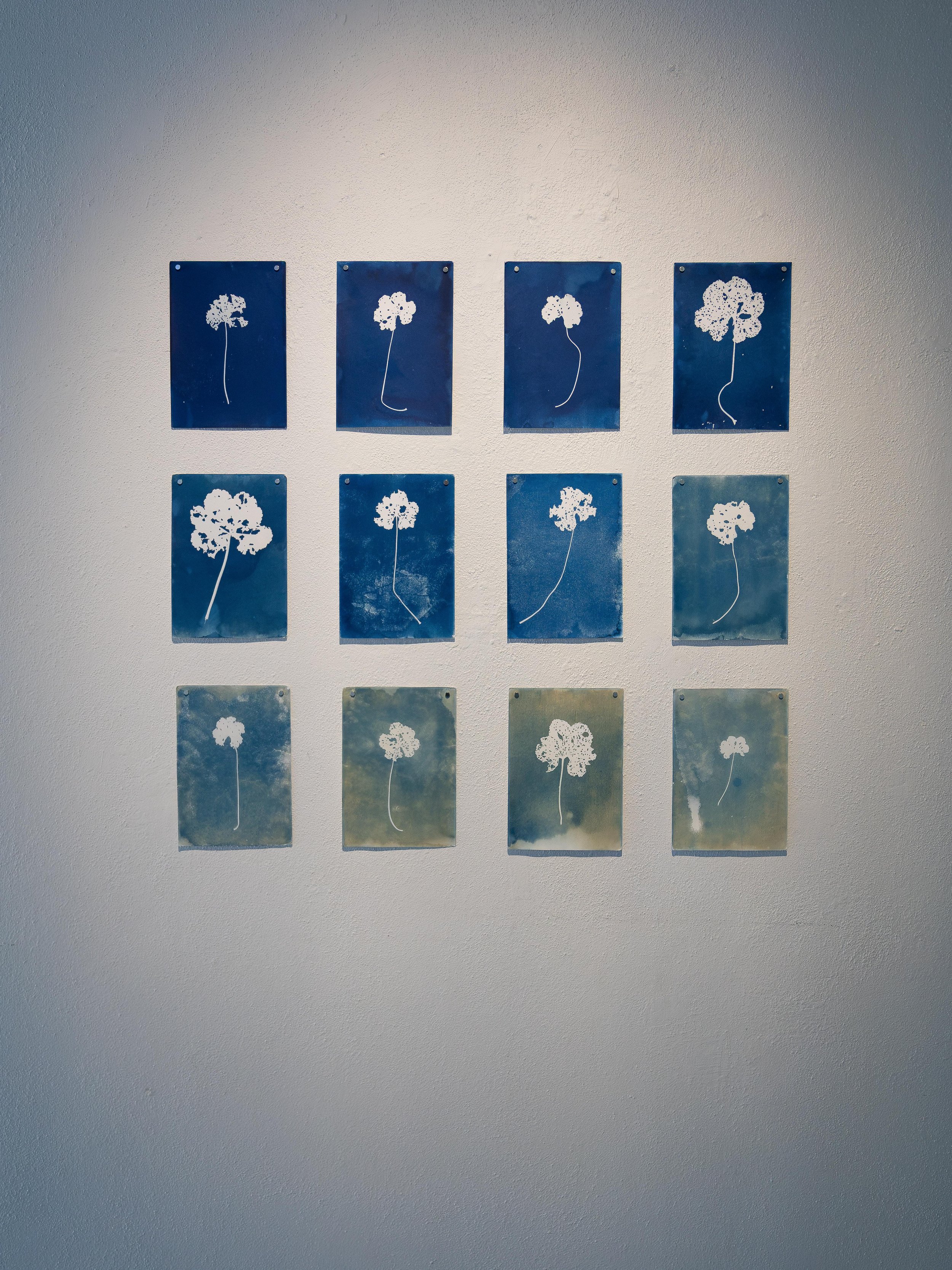 Forms of Presence - Proximities.jpg
