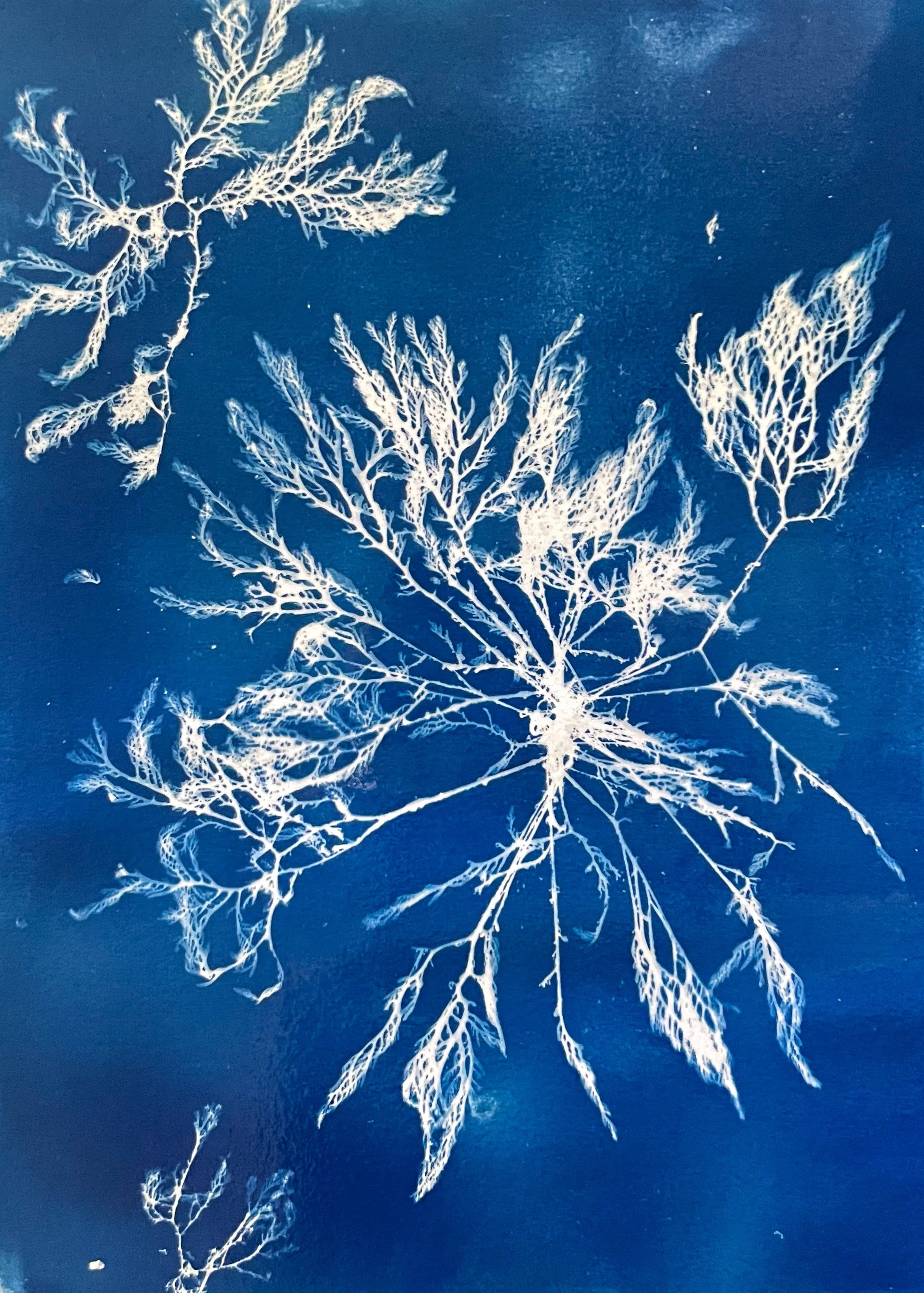 Exhibition Concept WTR -2.jpg