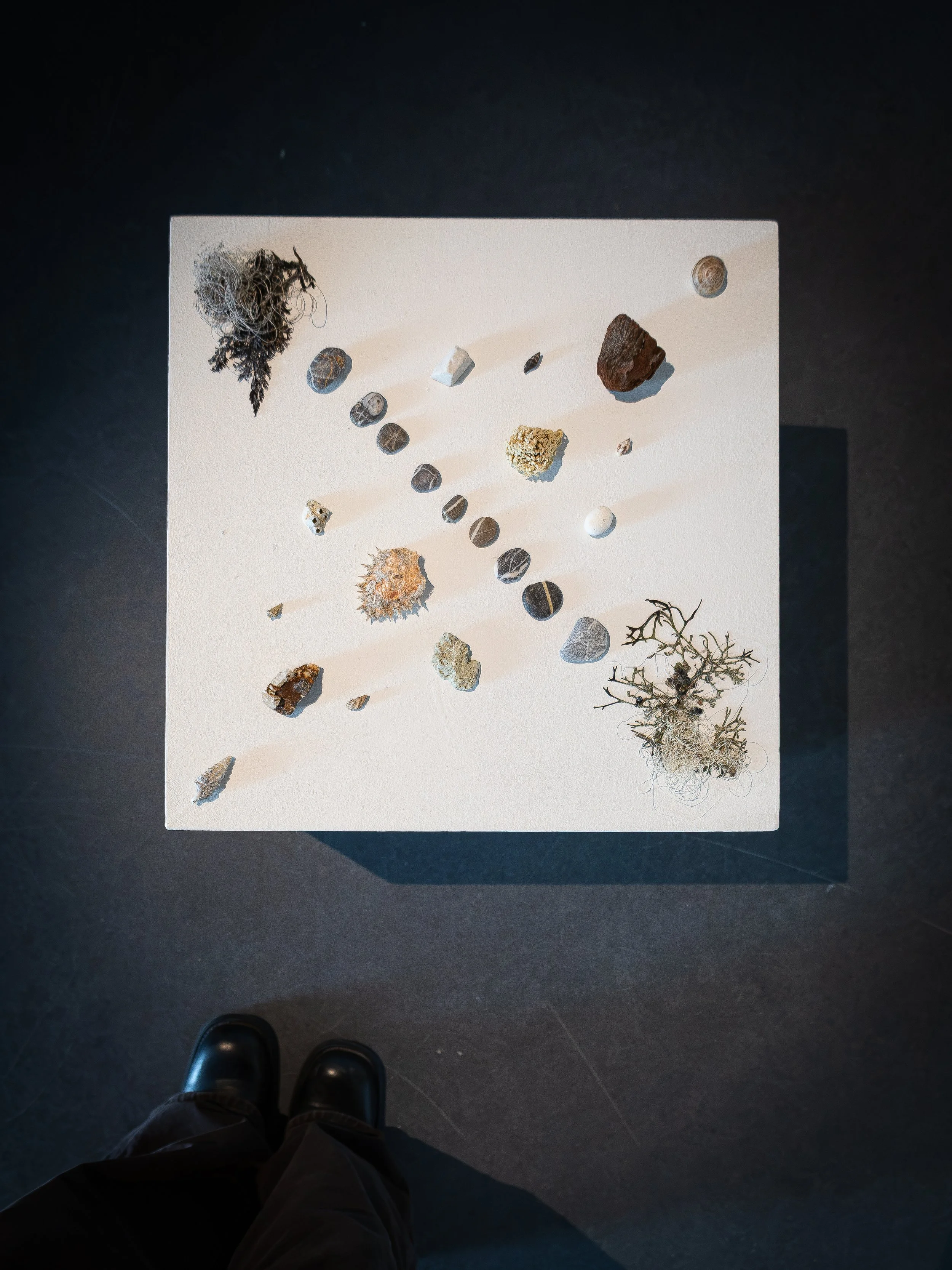 Forms of Presence - Proximities-7.jpg