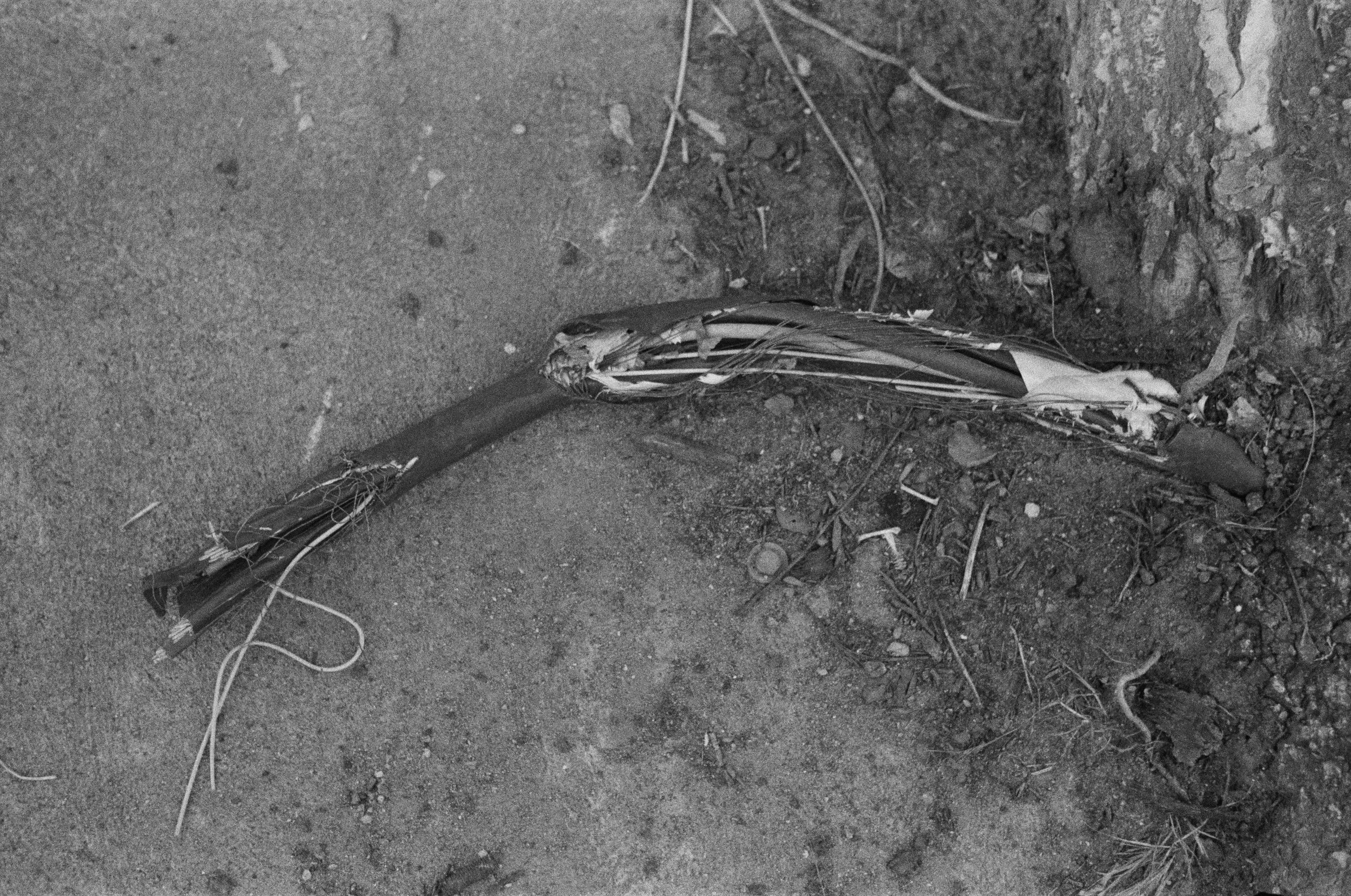 002191960022 copy.jpeg