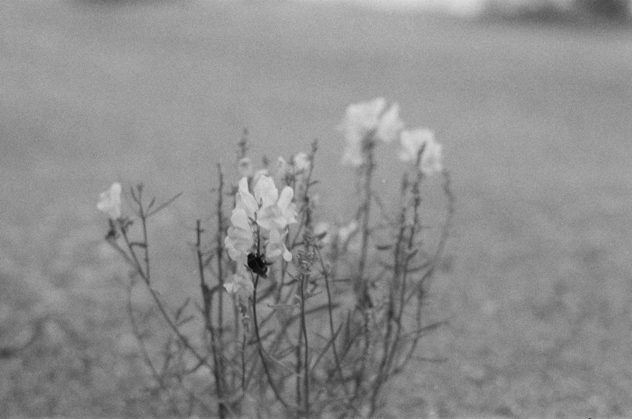 002191960024 copy.jpeg