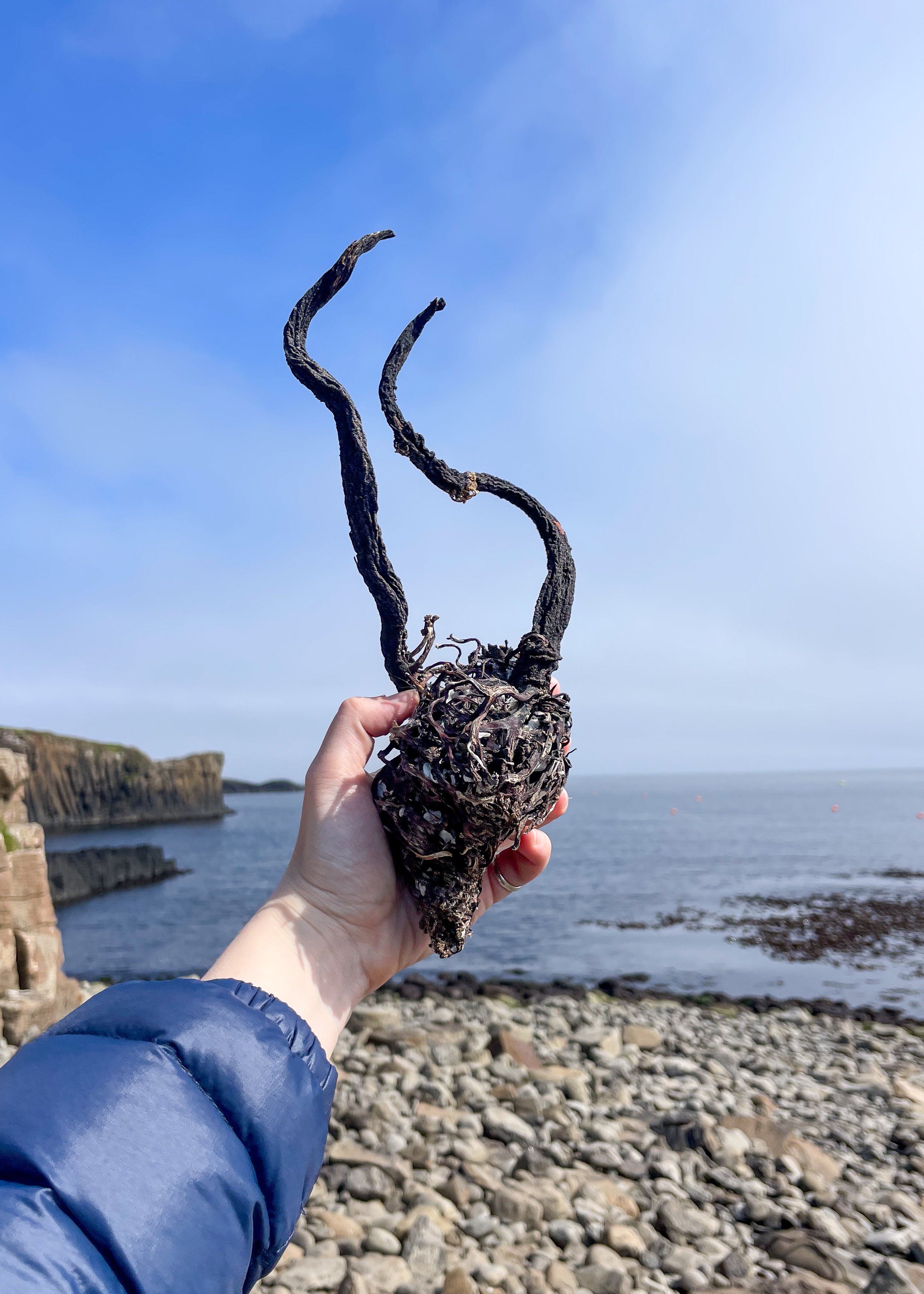 Exhibition Concept WTR -3.jpg