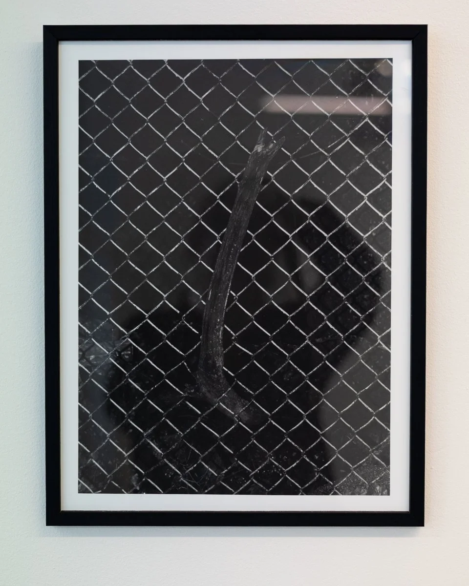 Fenced - exhibition documentation-28.jpg