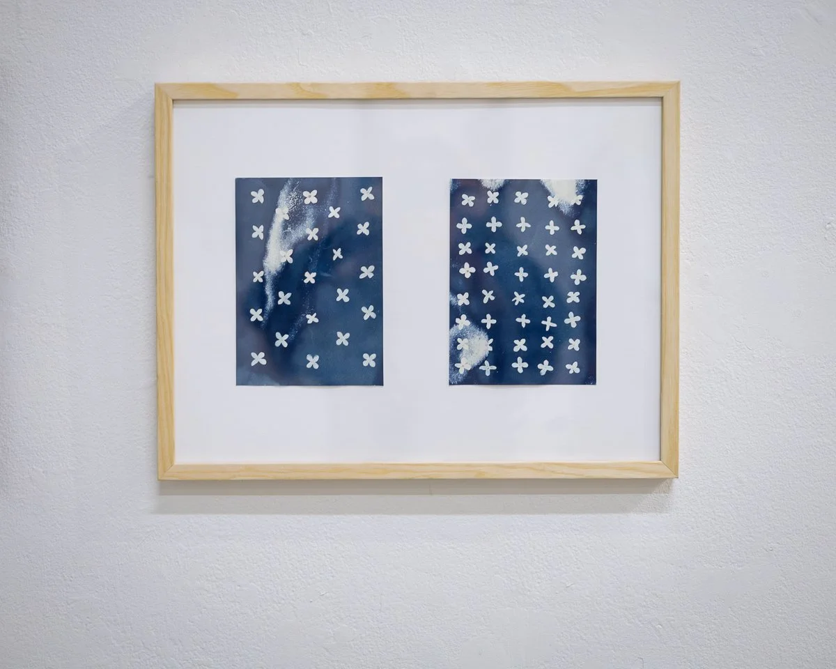 Taming the bloom - on display.jpg