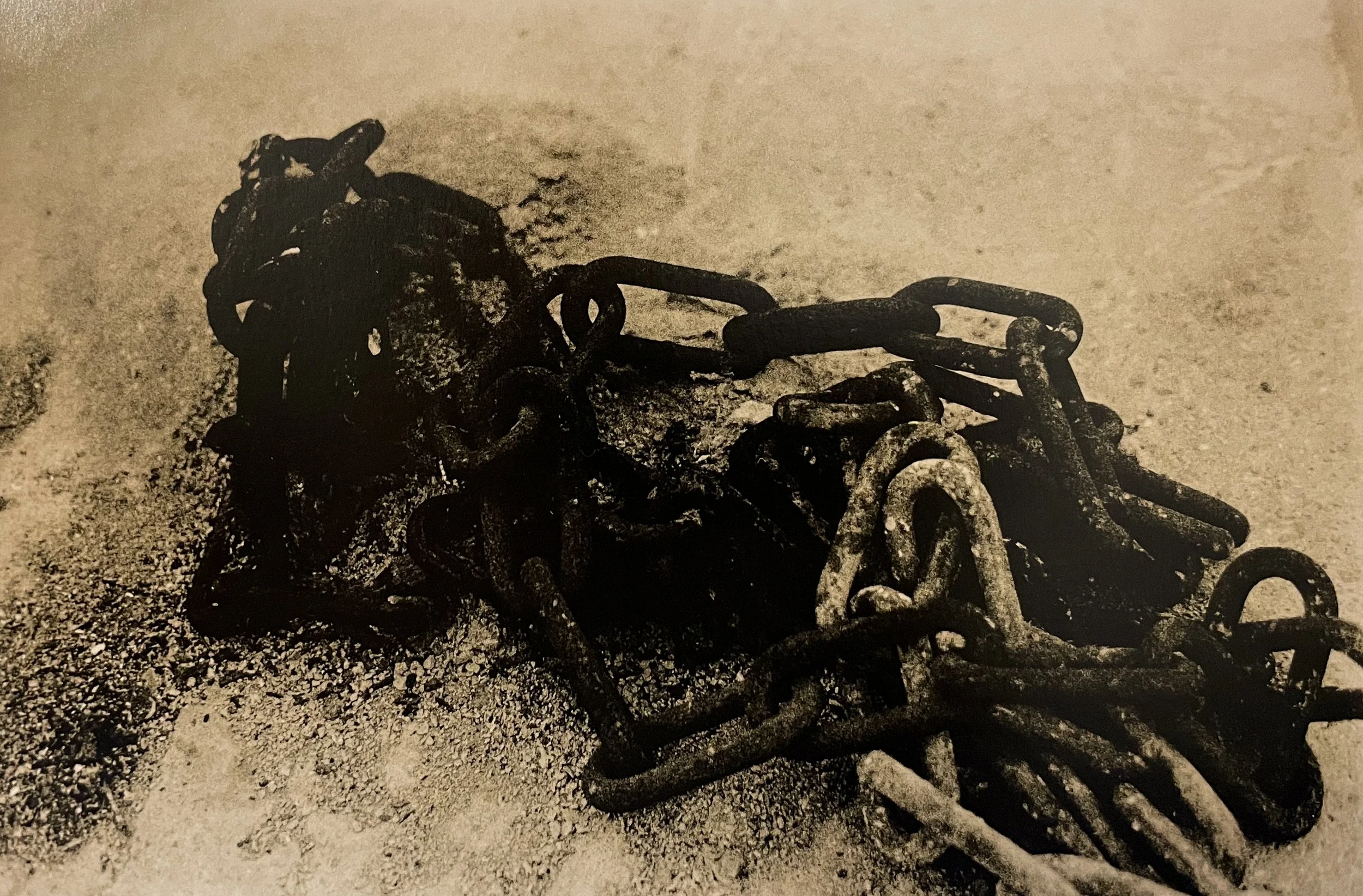 Vestige 2.0. Overdeveloped silver-gelatine lith darkroom print (2025).jpg