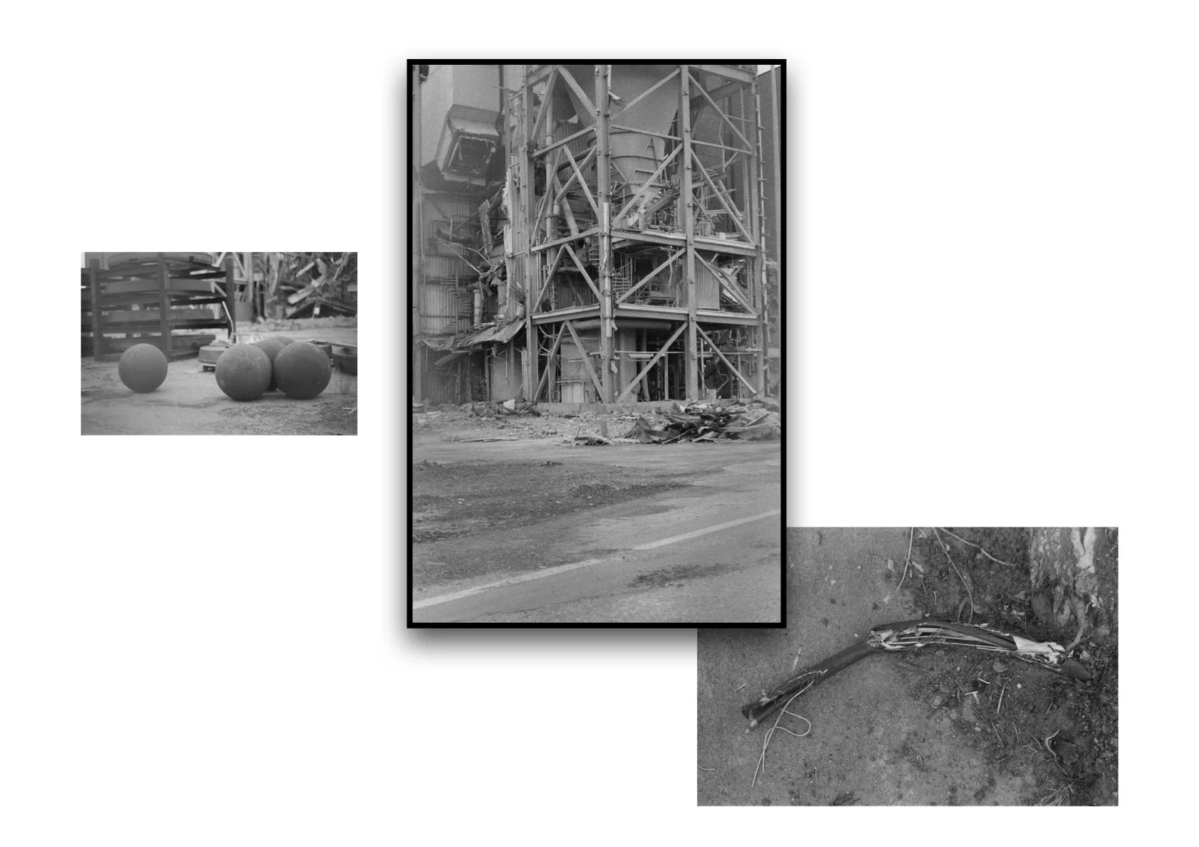 Analogue Photography 2024