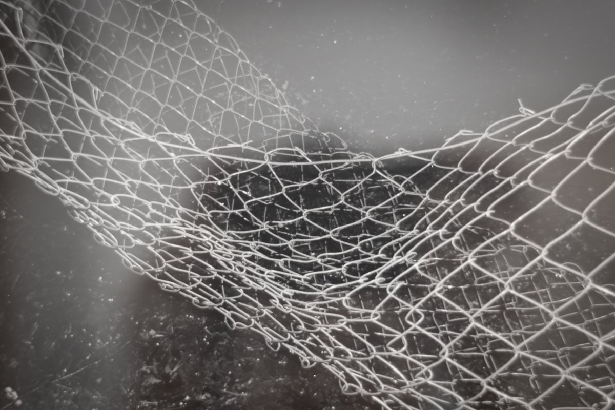 Fenced - exhibition documentation-08.jpg