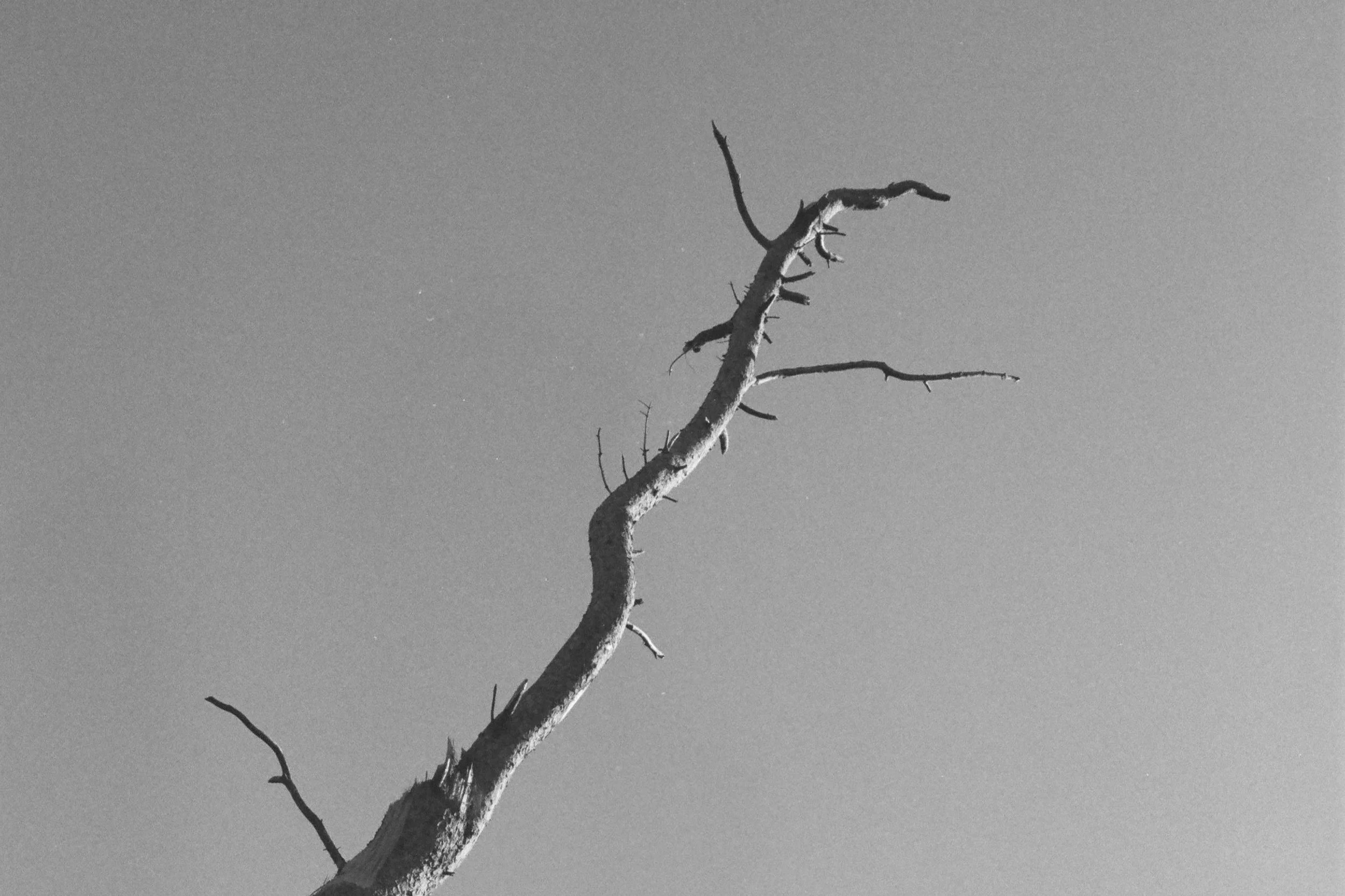 BROKEN