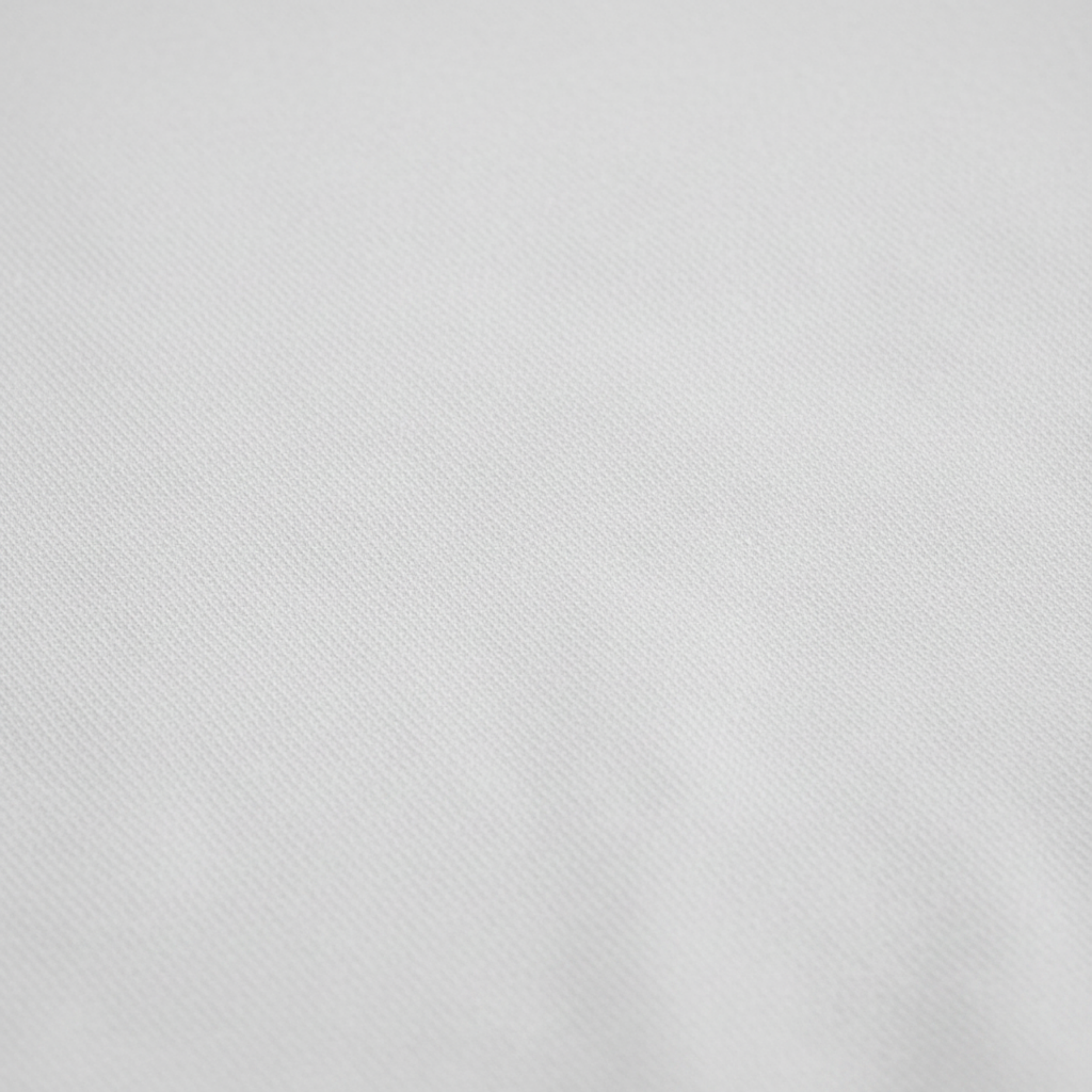 Rogue Edition - Full Fabric Texture Detail White.png