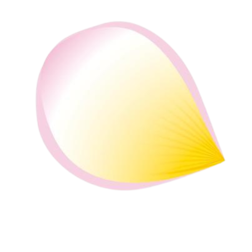 A stylized illustration of a sunflower seed with pink edges and a yellow interior.