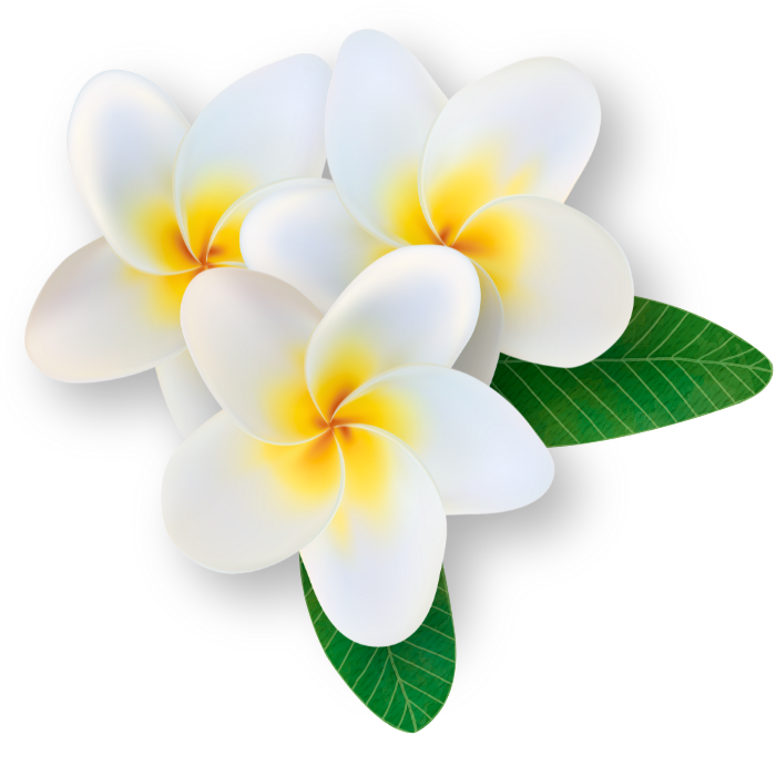 A cluster of white and yellow plumeria flowers with green leaves.