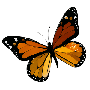 vlinder ontspanning dordrecht