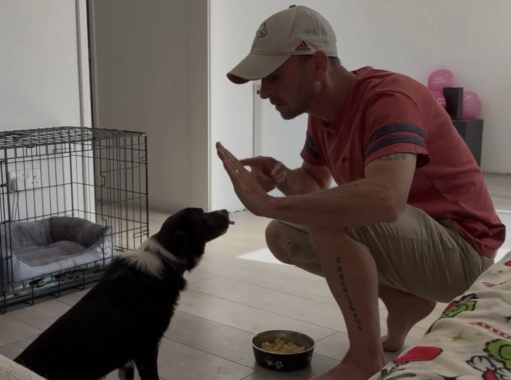 Obedience training with a puppy