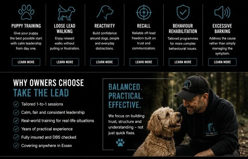 Dog trainer with a golden retriever outdoors, wearing a black cap and jacket, smiling at the dog in a forest setting.