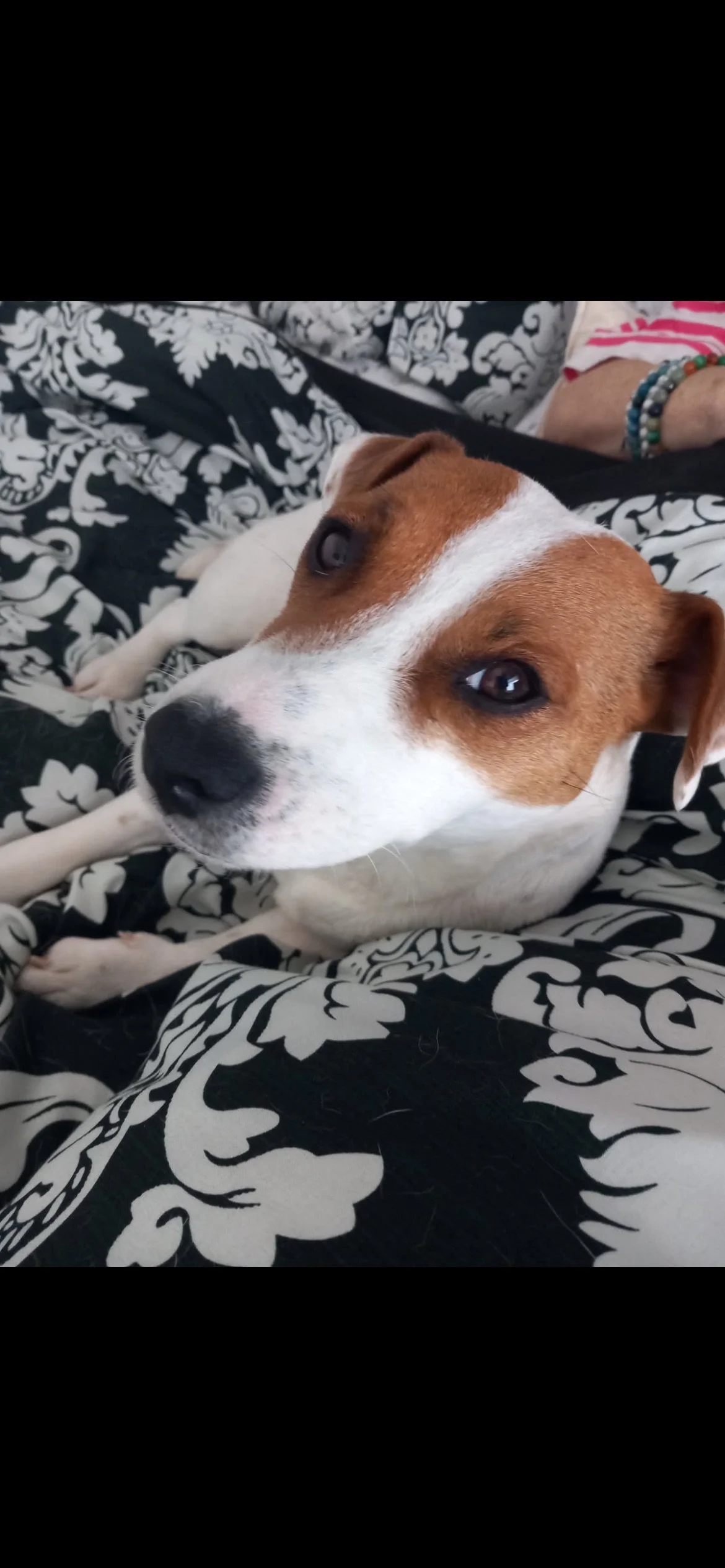 Home Board and Train