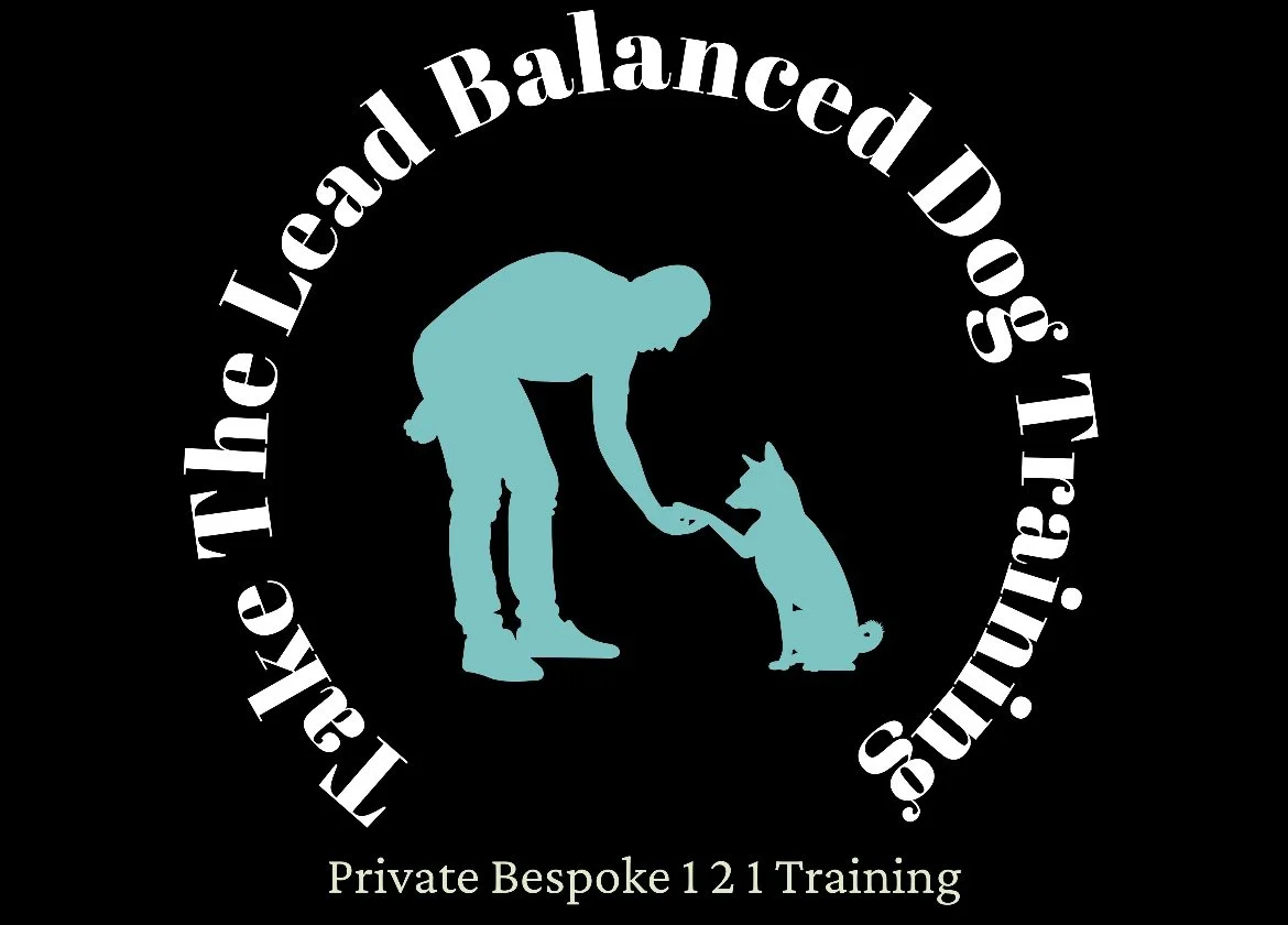 TAKE THE LEAD BALANCED DOG TRAINING