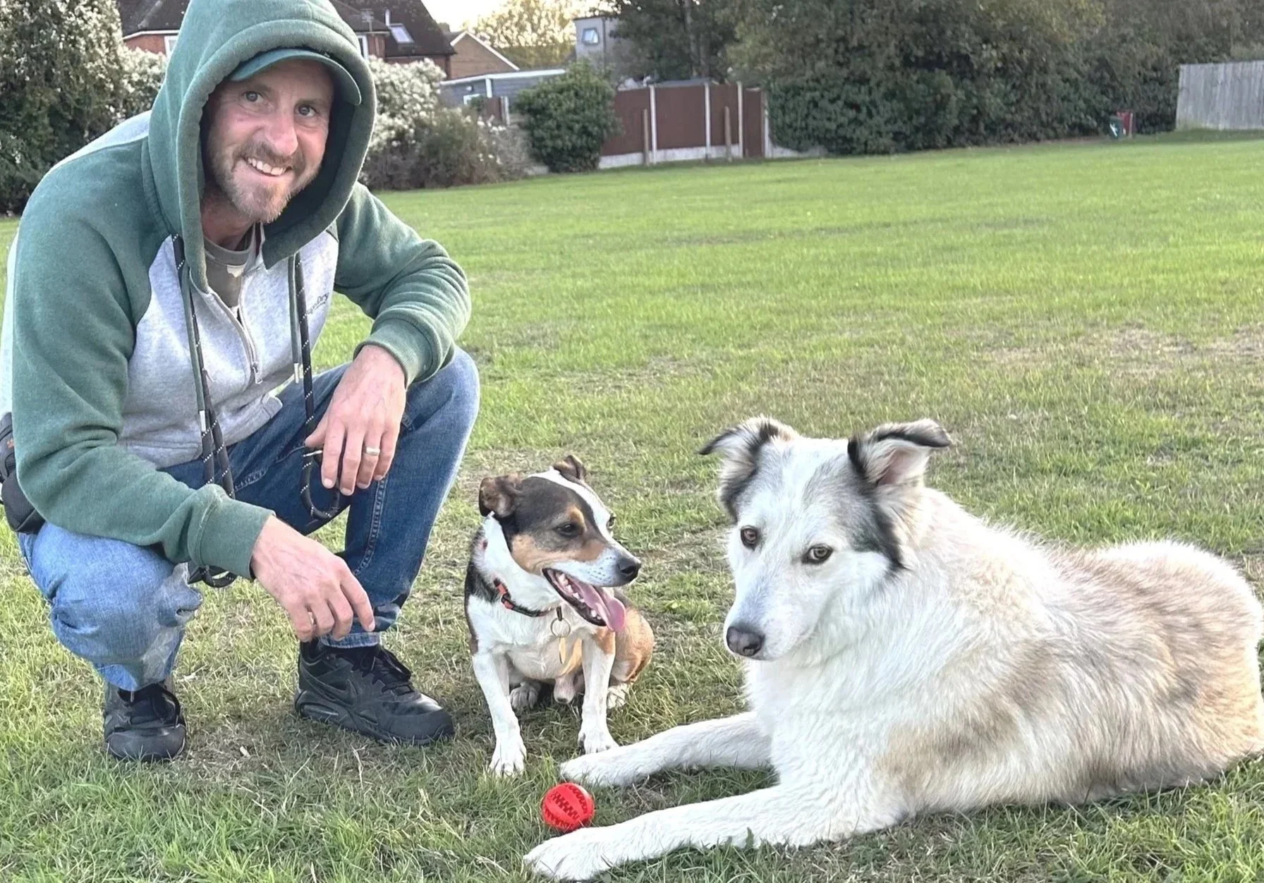 Dog trainer - Dog training