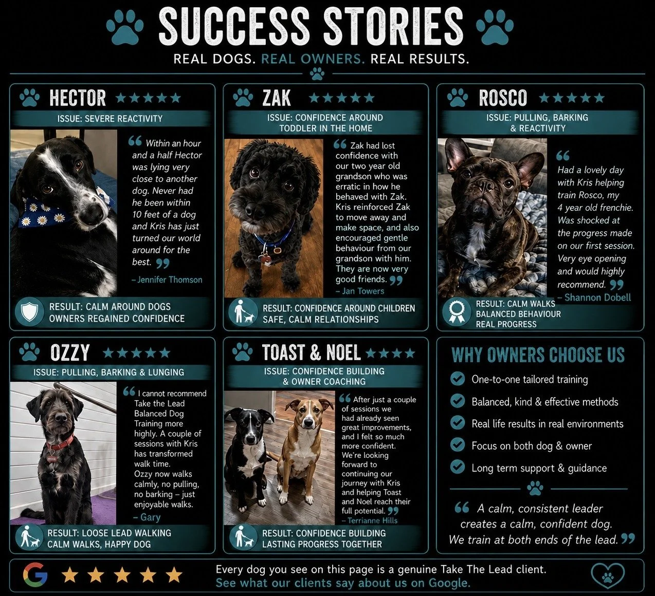 A poster titled 'Success Stories' showing testimonials from dog owners about their dogs' behavior improvements after training. It features images of five dogs, each with a description of issues like reactivity, confidence, pulling, barking, and lunging, and the positive results achieved. The poster emphasizes tailored training, real results, and ongoing support, with a section listing reasons to choose the trainer, including personalized methods and long-term guidance.