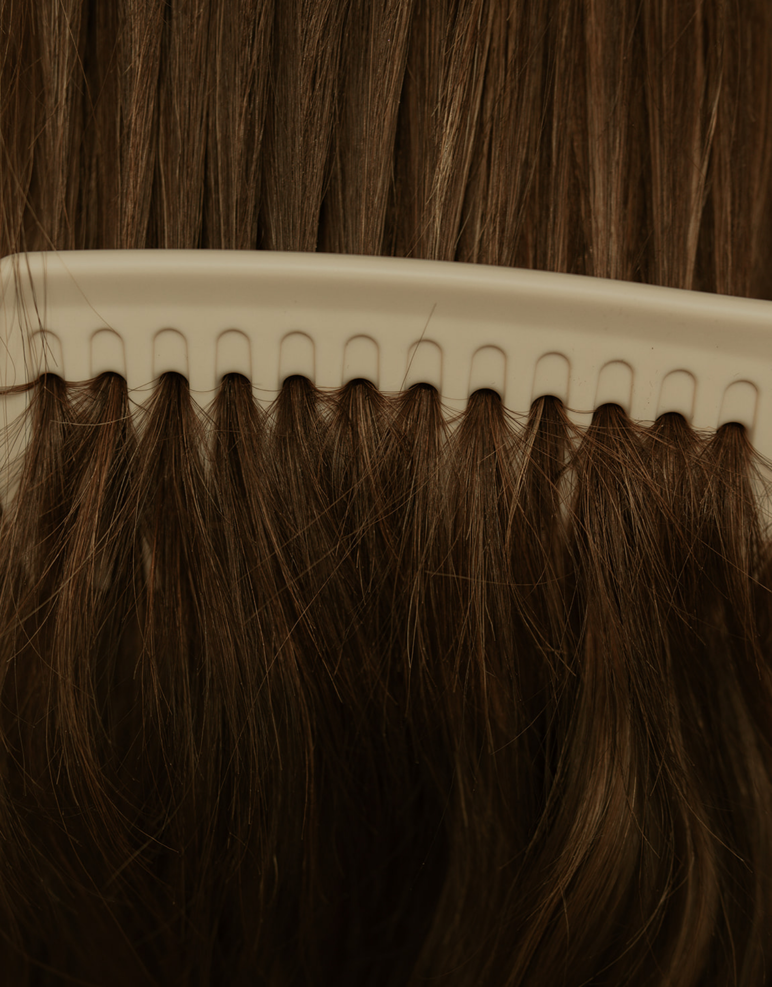 Close-up of brown hair in a white hairbrush with wide teeth.