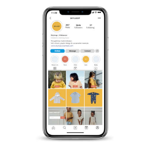 Skyloop - Instagram.png