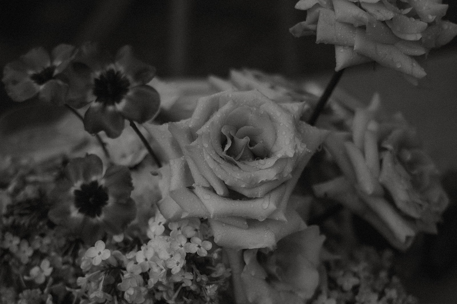 Riseholme Styled Shoot-67.jpg