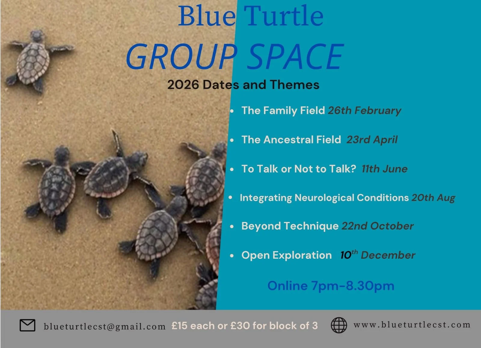 Blue Turtle Group Space