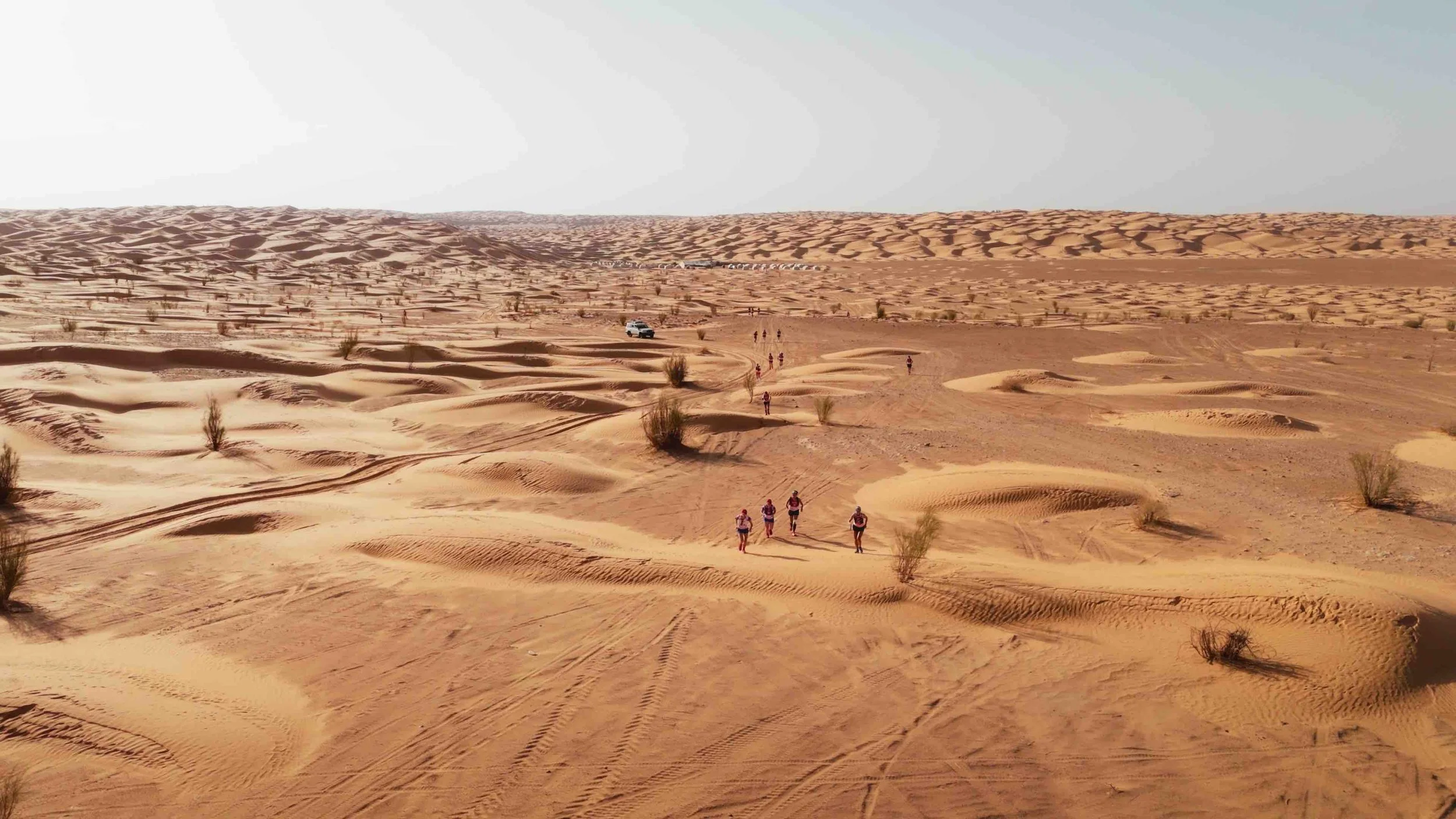 Still 2026-04-17 160323_1.3.1-optimized.jpeg