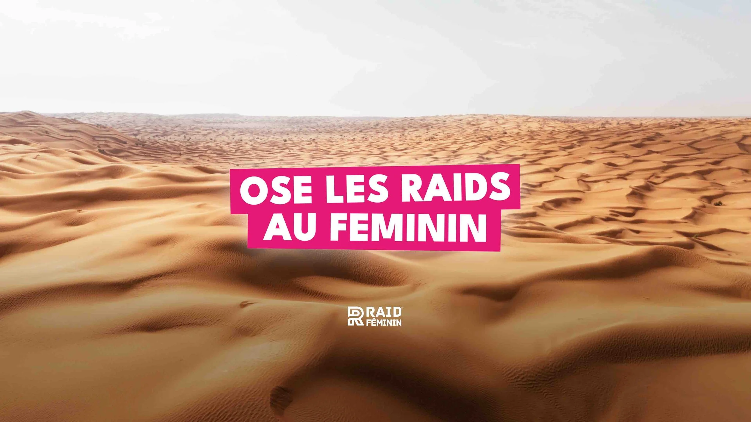 Still 2026-04-17 160323_1.55.1-optimized.jpeg