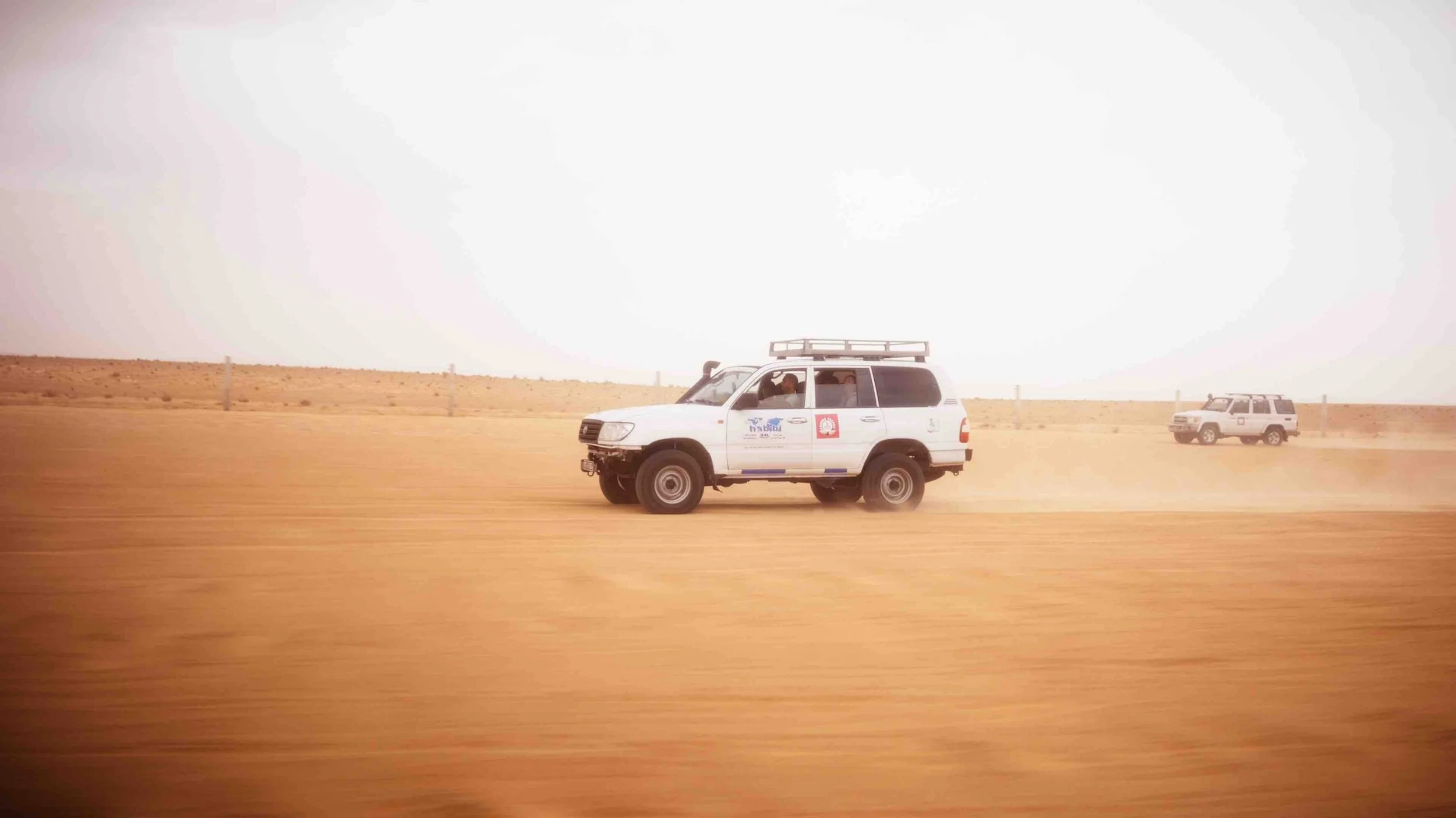 Still 2026-04-17 160323_1.53.1-optimized.jpeg