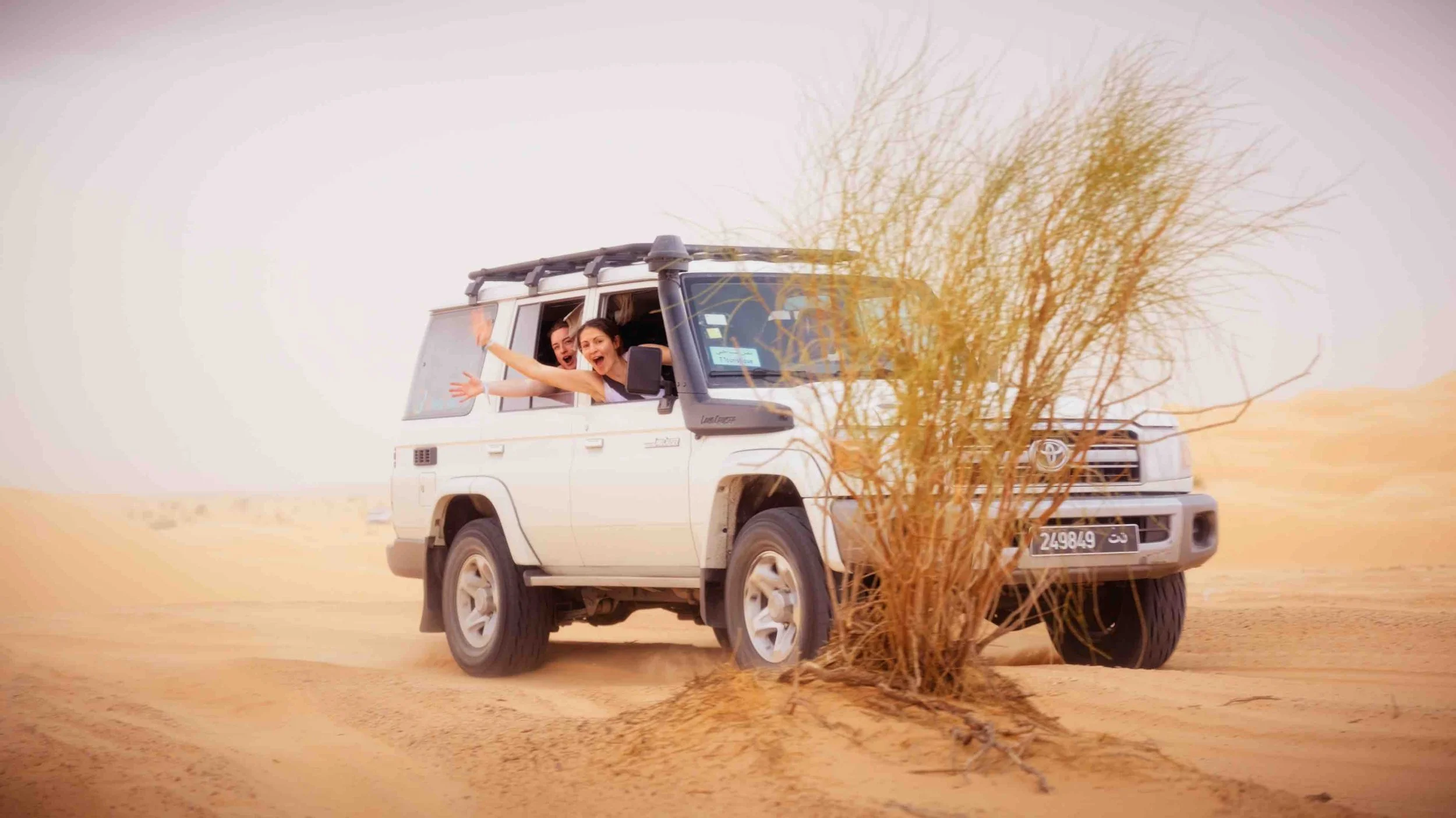 Still 2026-04-17 160323_1.54.1-optimized.jpeg