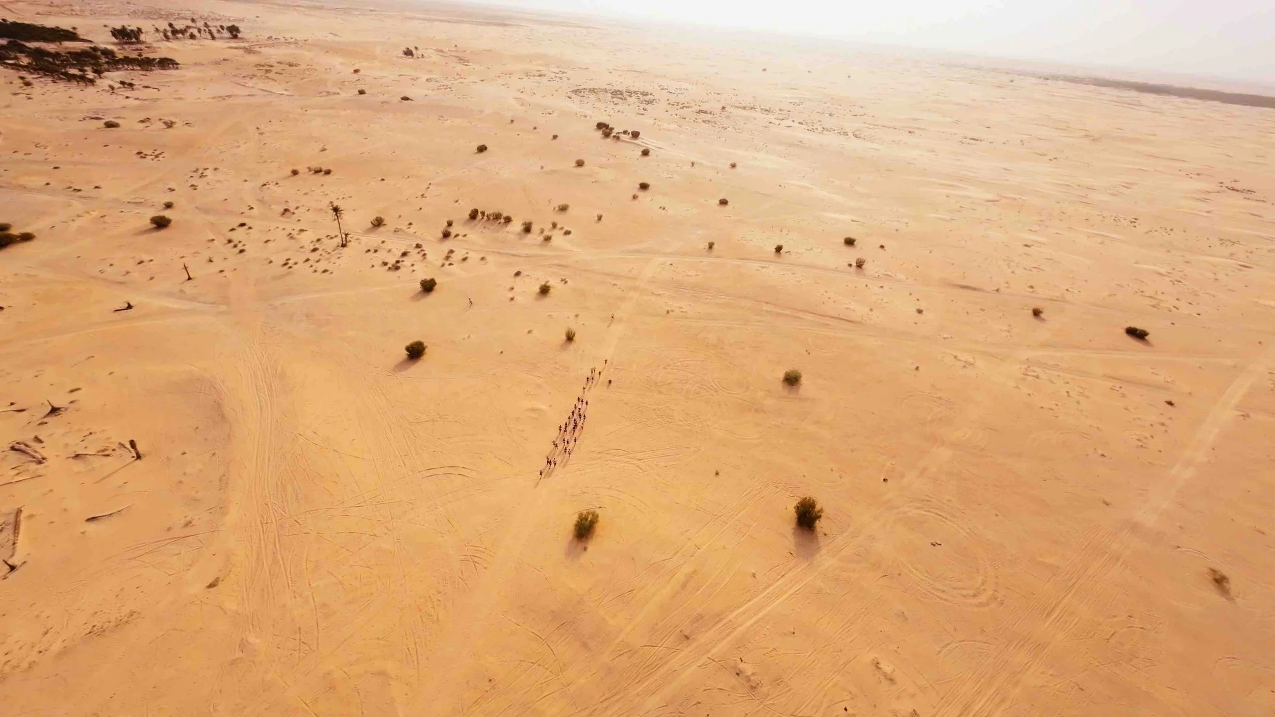 Still 2026-04-17 160323_2.2.1-optimized.jpeg