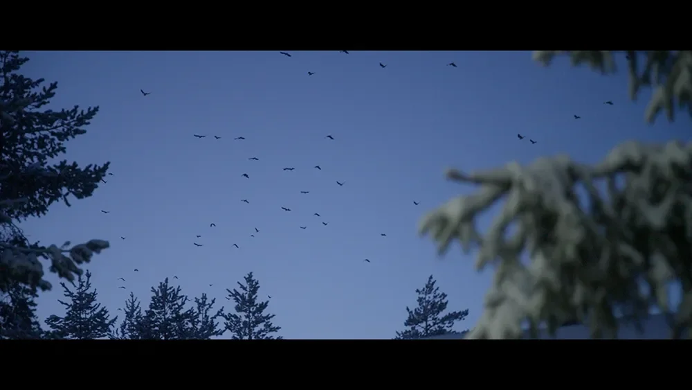 Still 2025-09-22 055741_1.18.3.webp