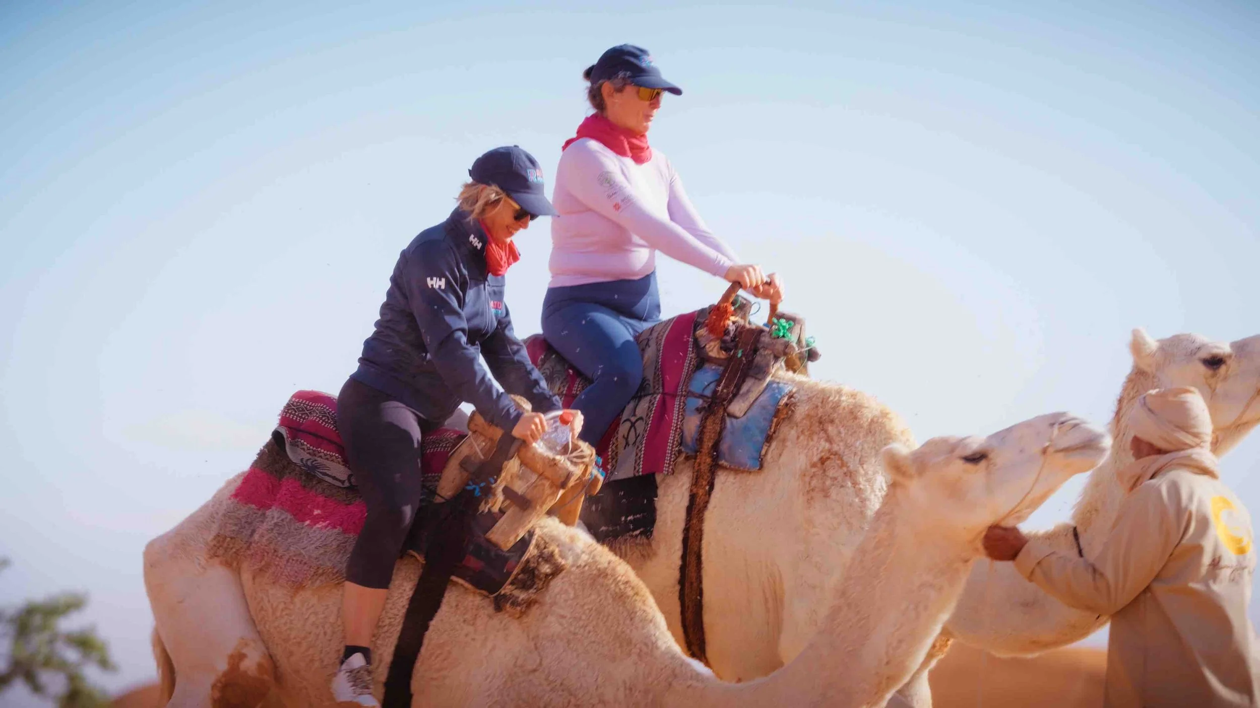 Still 2026-04-17 160323_1.46.1-optimized.jpeg